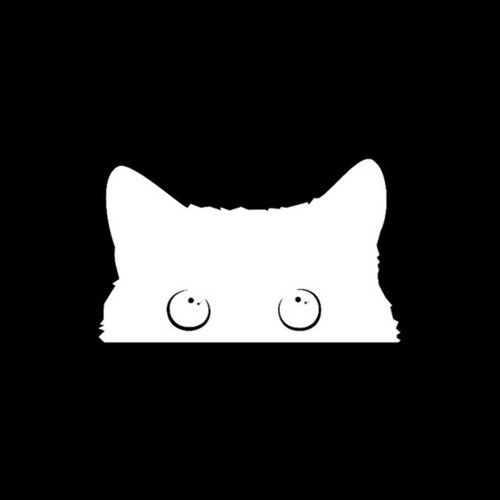Kedi Oto Araba Sticker Yapıştırması 19cm Beyaz Renk
