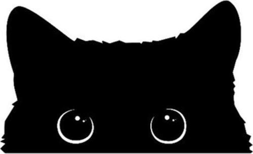 Kedi Oto Araba Sticker Yapıştırması 19cm Siyah Renk