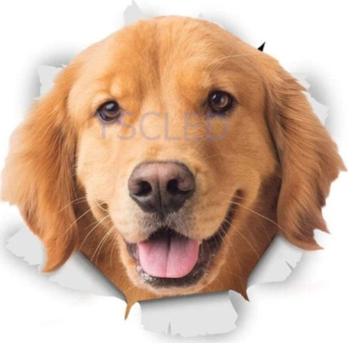 Muhteşem Golden Köpek Araba Sticker Leptop Yapıştırma