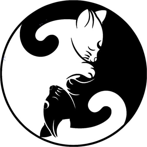 Kedi Siticker 15cm