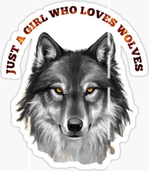 Öfkeli Kızgın Kurt Araba Sticker Oto Yapıştırması 18cm C1