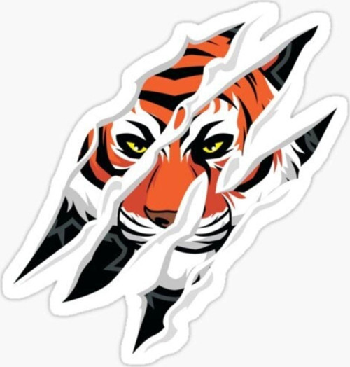 Pençe Kaplan Araba Oto Sticker Yapıştırma Etiket 17cm Tw26