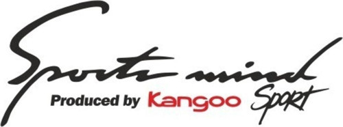 Megane Sports Mind Oto Sticker Araba Yapıştırma