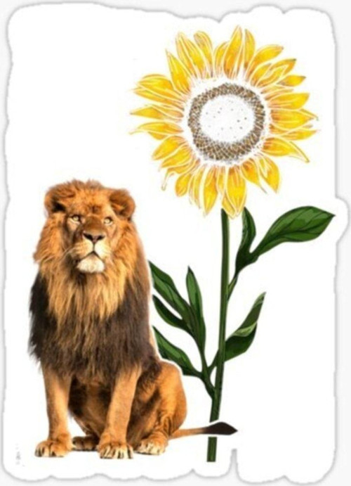 Renkli Aslan Araba Oto Sticker Yapıştırma Etiket 17cm A3
