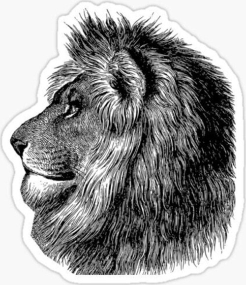Renkli Aslan Araba Oto Sticker Yapıştırma Etiket 17cm R8