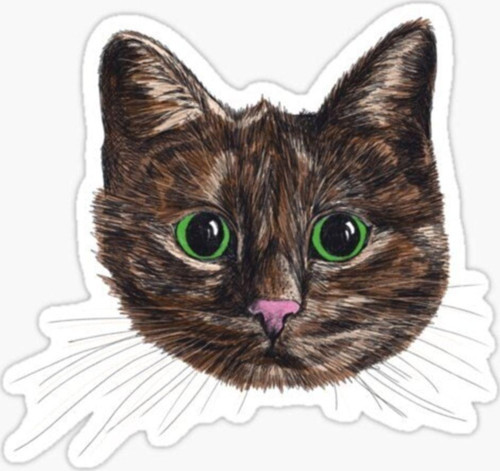 Oto Ufak Bebek Kedi Araba Sticker Etiket Renkli V1
