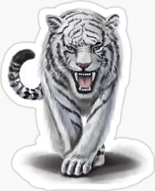 Renkli Kaplan Araba Oto Sticker Yapıştırma Etiket 17cm D6