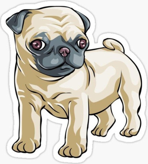 Pug Irkı Cinsi Köpek Sticker Araba Oto Yapıştırması 17cm Z2