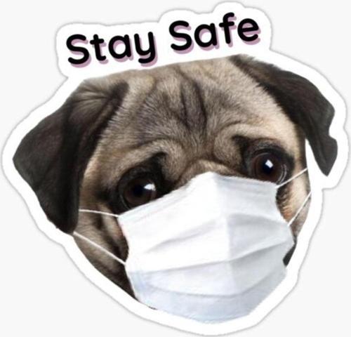 Pug Irkı Cinsi Köpek Sticker Araba Oto Yapıştırması 17cm Z5