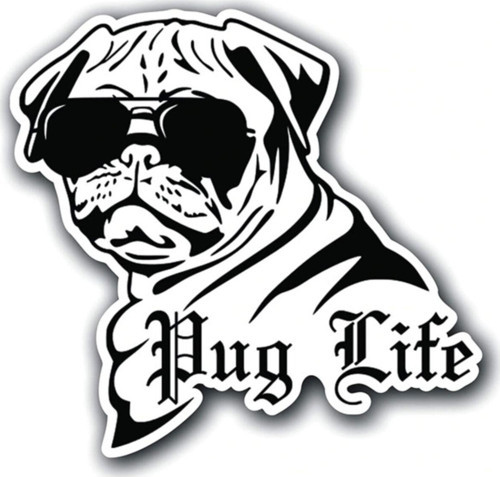 Pug Life Köpek Araba Sticker Etiket Yapıştırma 18cm