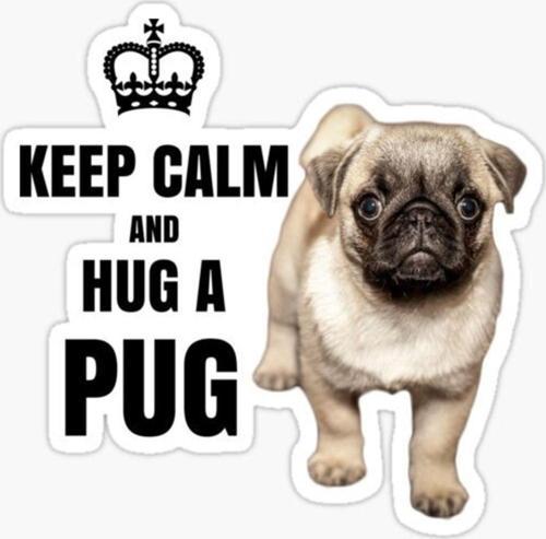 Pug Yavru Cinsi Köpek Sticker Araba Oto Yapıştırması 17cm A2