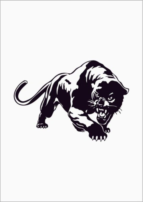 Puma Araba Stickerı Yapıştırma Sticker Etiket