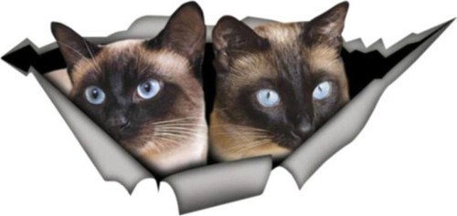 Siyam Cins Kediler 2'li Araba Sticker Yapıştırması 20 cm