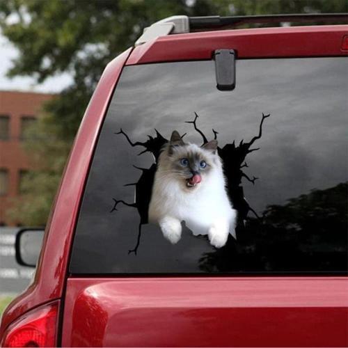 Siyam Kedisi Sticker Yapıştırma 17cm Renkli