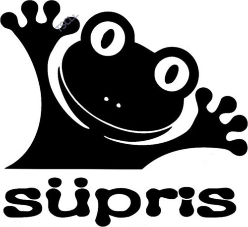 Sevimli Bir Sürpriz Yazısı Sticker Yapıştırma 15cm