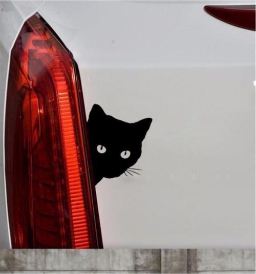 Sevimli Kedi Z Araba Sticker  Yapıştırma