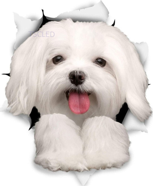 Sevimli Maltese Köpek Araba Sticker Su Geçirmez Çıkartması