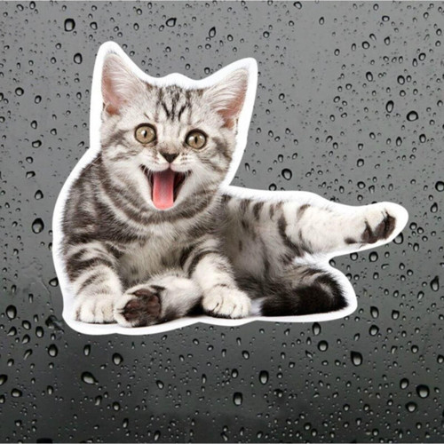 Sevimli Yaramaz Kedi Araba Sticker Etiket 18cm M3