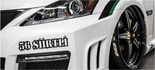 Siirtli 56 Plaka Araba Oto Sticker Yapıştırma 2 Adet