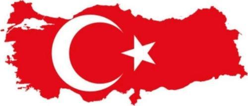Türkiye Bayrağı Araba Sticker Ufak Boy 19cm Eninde