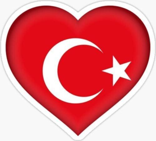 Türkiye Bayrak Sticker Oto Etiket Araba Yapıştırma 16cm