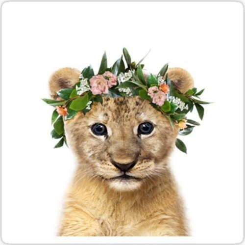 Ufak Bebek Aslan Araba Oto Sticker Etiket Renkli Z3