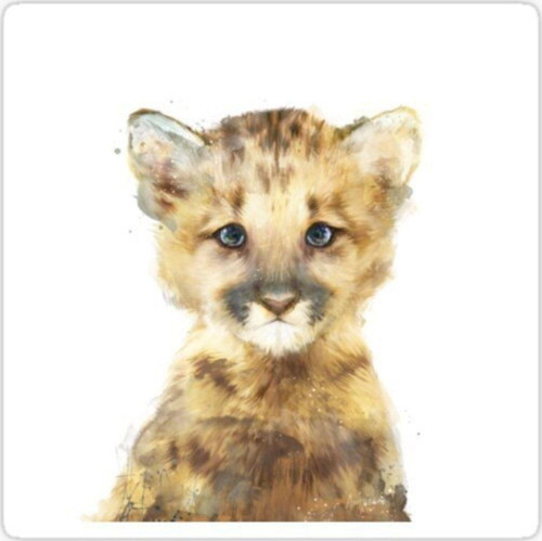 Ufak Bebek Aslan Araba Oto Sticker Etiket Renkli Z4