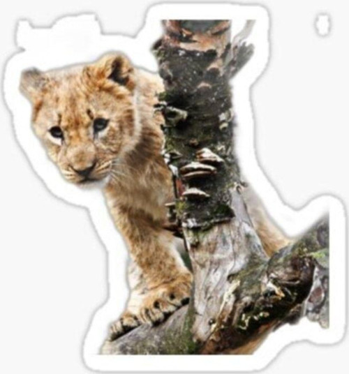 Ufak Bebek Aslan Araba Oto Sticker Etiket Renkli Z6