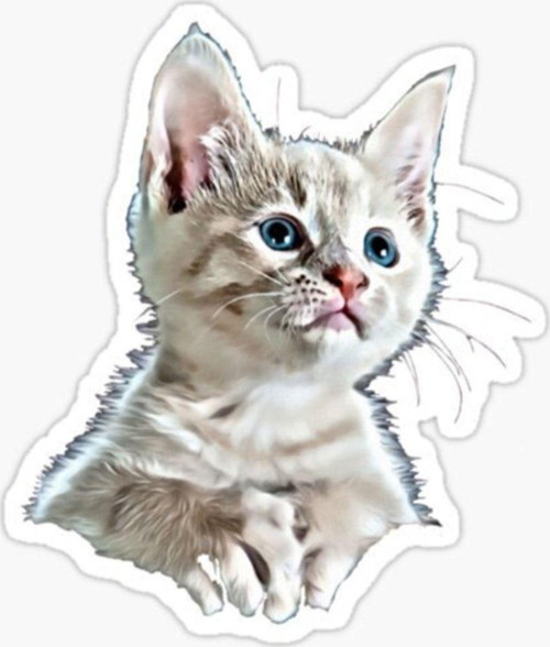 Ufak Bebek Kedi Araba Oto Sticker Etiket Renkli E2