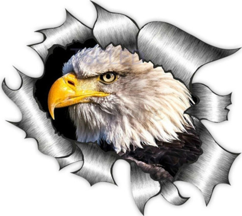 Yırtık Metal Tasarım Kkel Kartal Araba Oto Sticker