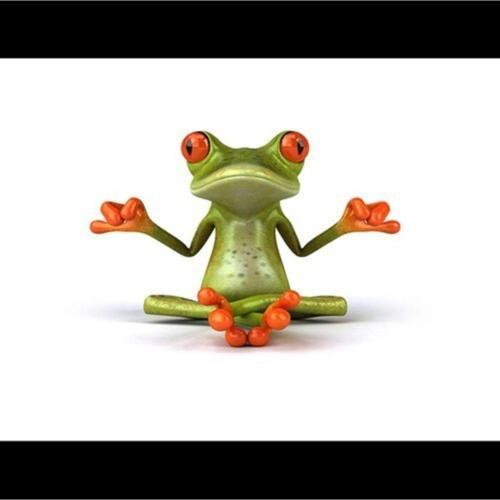 Yoga Yapan Kurbağa Araba Oto Sticker Yapıştırma