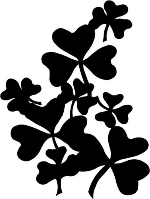Yonca Araba Sticker Yapıştırması 2