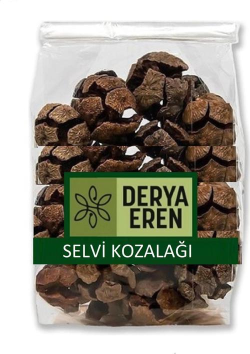 Selvi (Servi) Kozalağı 500 gr
