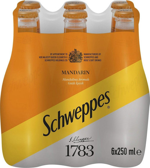 Mandarin Cam Şişe 6X250 Ml