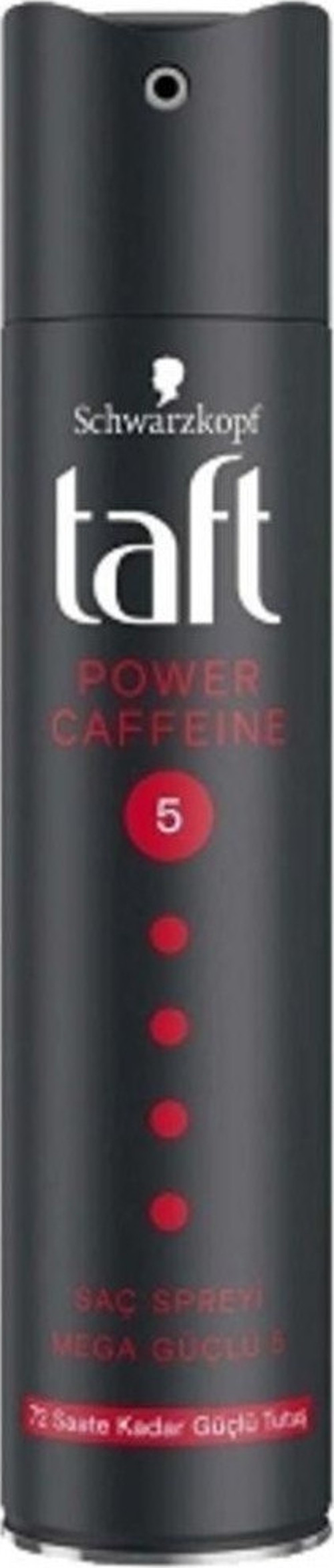 6'Lı Taft Saç Spreyi Power 250 Ml.