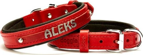 Deri İsimlikli Köpek Tasması 2x35-40 cm Kırmızı