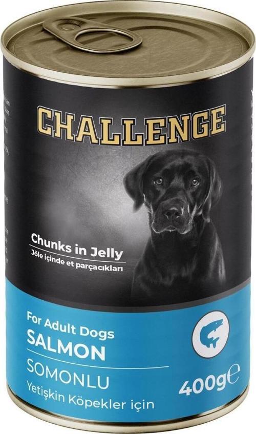 Somonlu Yetişkin Köpek Konservesi 400 Gr