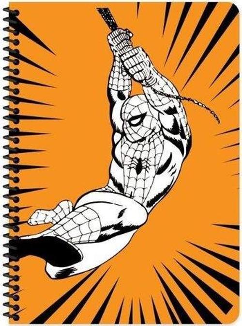 Seri2 20*28 80 Yaprak  Çizgili  Karton Kapak  Spiralli Defter
