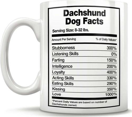 Dachshund Köpeği Kupa Bardak Dachshund Kupa Bardak