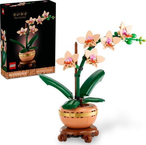 10343 Botanicals Mini Orkide