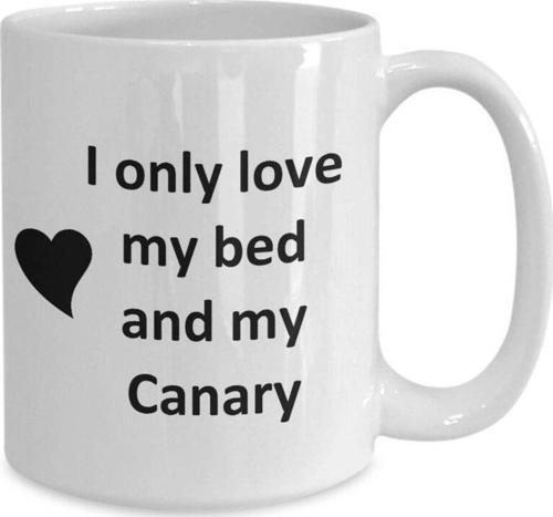 Komik Kanarya Sevgilisi Kupa - Kuş Evcil Hayvan - Love My Canary Kahve Fincanı- İngilizce Kupa