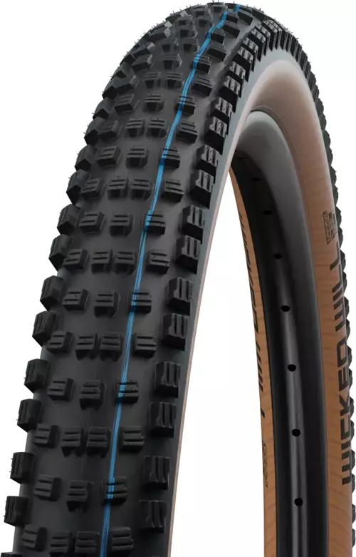 WICKED WILL 29x2.40 TUBELESS EVO SUPER RACE KATLANIR DIŞ LASTİK