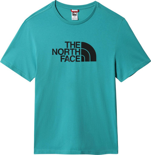 EASY TEE Erkek T-Shirt NF0A2TX32KQ1