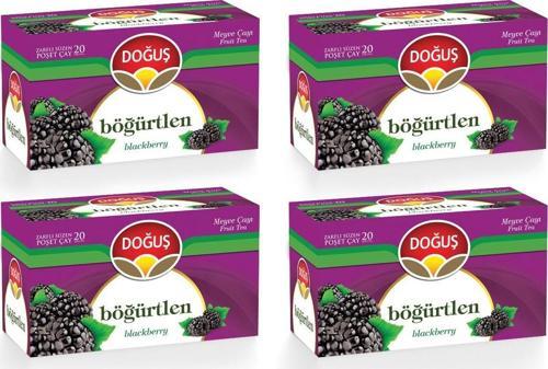 Böğürtlen Çayı 20Li X 4 Adet