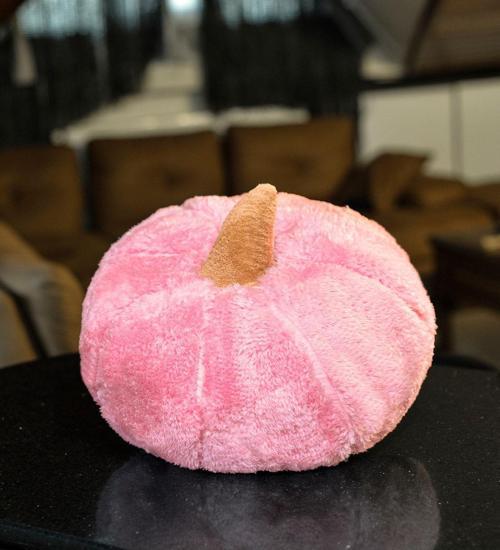 Dekoratif 50 Cm Pelüş Kabak Kırlent