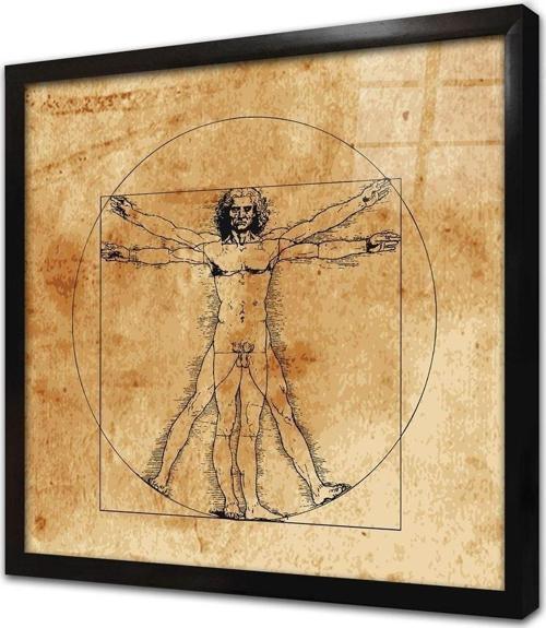 Vitruvius Adamı Leonarda Da Vinci Çerçeveli Cam Tablo