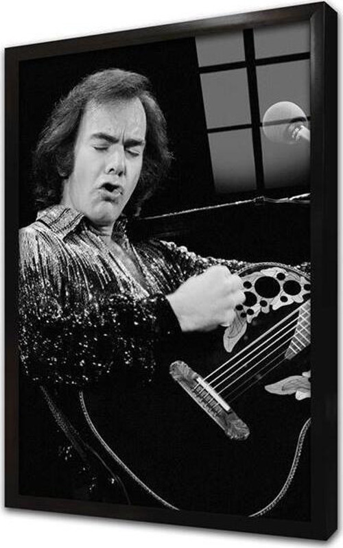 Musician Çerçeveli Cam Tablo