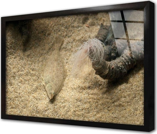 Denizaltı Çerçeveli Cam Tablo 60x90 cm