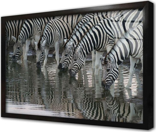 Zebra Sürüsü Çerçeveli Cam Tablo 50x70 cm