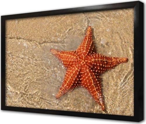 Kumsalda Deniz Yıldızı Çerçeveli Cam Tablo 30x40 cm